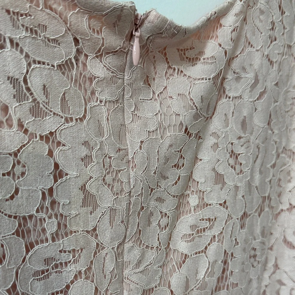 Jessica Howard Women's Blush Pink Lace Fit-and-Flare Dress Size 14